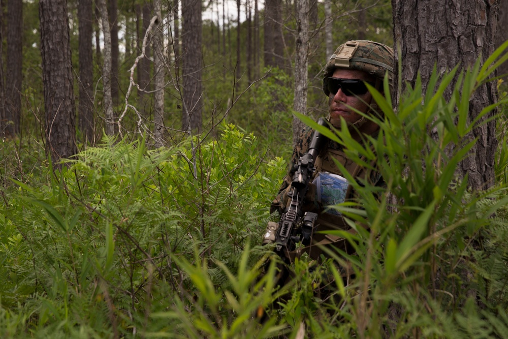 From air-to-ground: U.S. Marines conduct Exercise Steel Pike 19