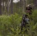 From air-to-ground: U.S. Marines conduct Exercise Steel Pike 19