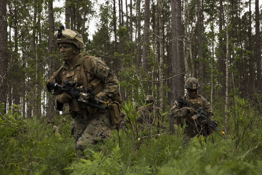 From air-to-ground: U.S. Marines conduct Exercise Steel Pike 19