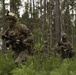 From air-to-ground: U.S. Marines conduct Exercise Steel Pike 19