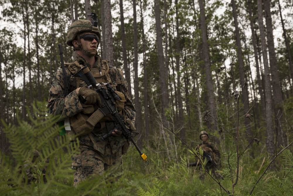 From air-to-ground: U.S. Marines conduct Exercise Steel Pike 19