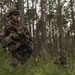 From air-to-ground: U.S. Marines conduct Exercise Steel Pike 19