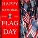 Happy National Flag Day!