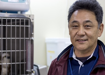 Migratory bird found in unsuspecting place