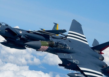 Heritage F-15E Strike Eagles