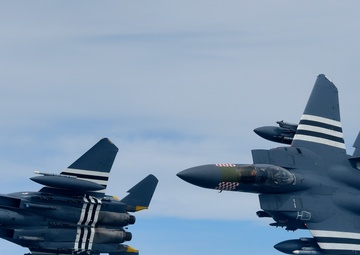 Heritage F-15E Strike Eagles