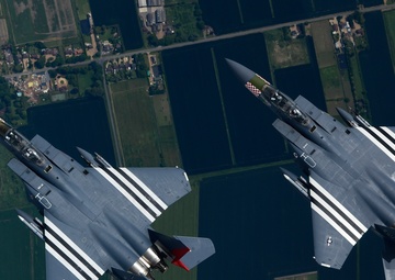 Heritage F-15E Strike Eagles