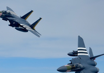 Heritage F-15E Strike Eagles