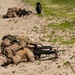 Amphibious beach landing at Kallaste Beach, Estonia, BALTOPS 2019