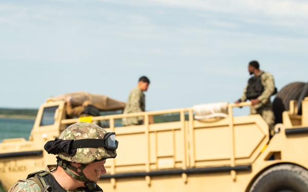 Amphibious beach landing at Kallaste Beach, Estonia, BALTOPS 2019