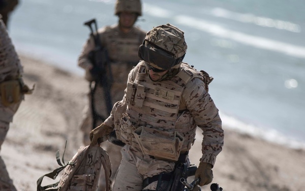 BALTOPS 2019 Amphibious Assault