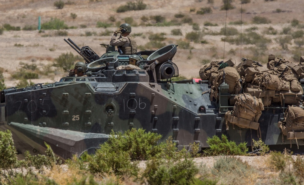 Reserve Marines conduct mechanized assaults at ITX 4-19