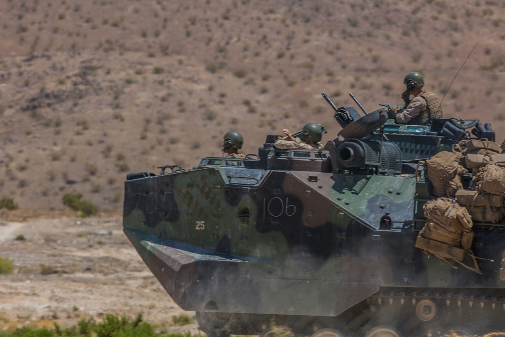 Reserve Marines conduct mechanized assaults at ITX 4-19