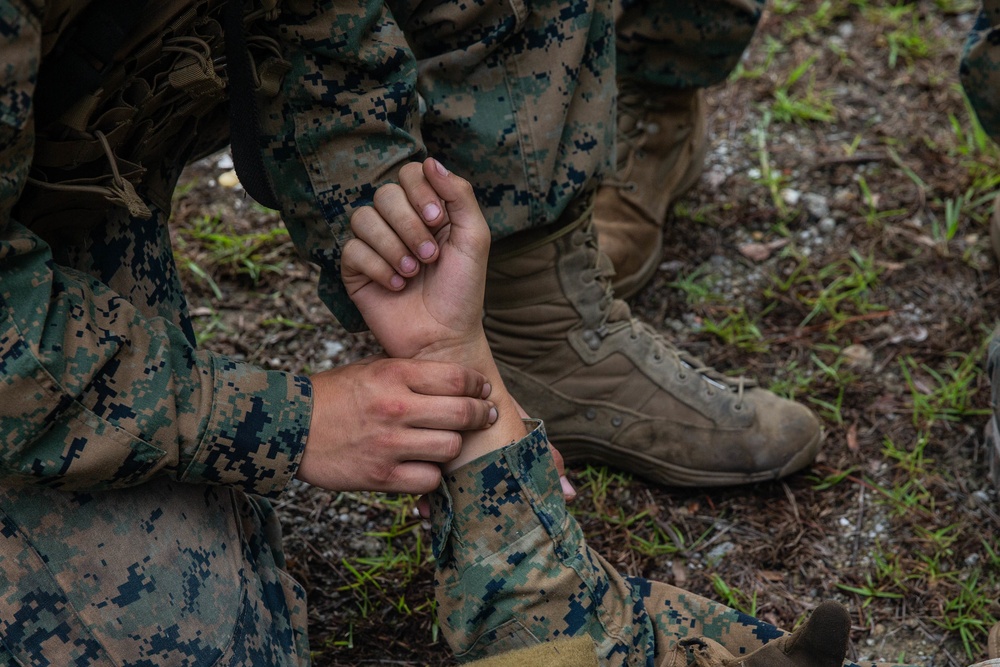 Marines with 2nd TSB receive familiarization courses exercise during Resolute Sun