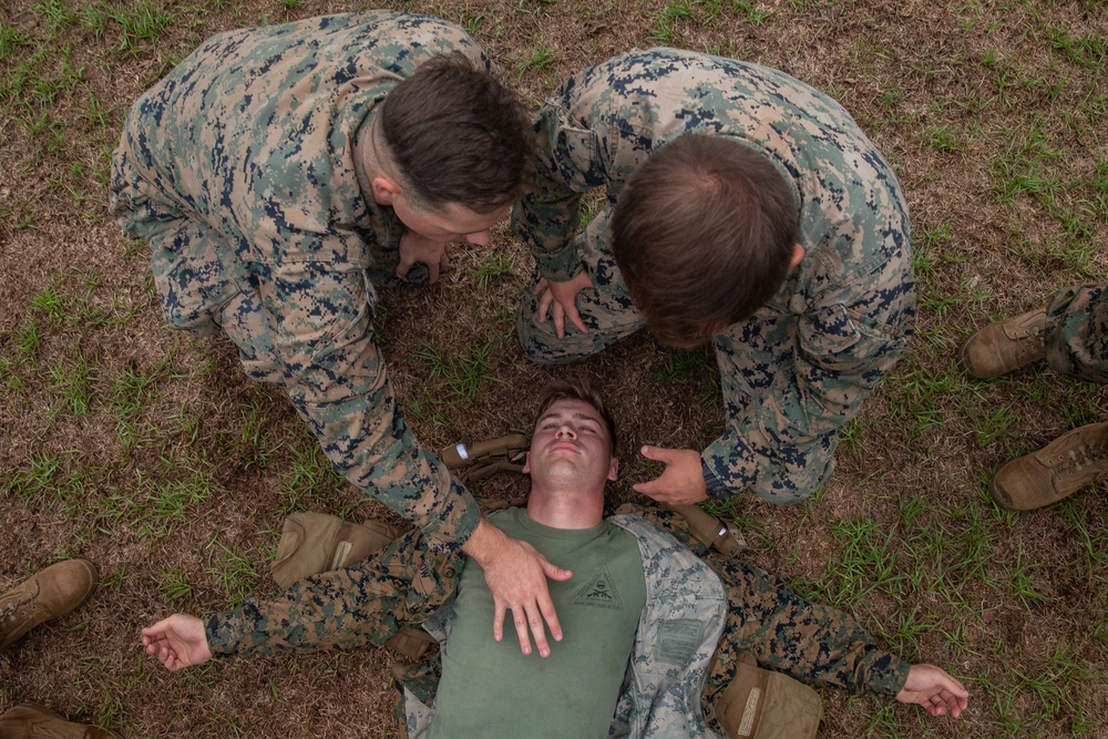 Marines with 2nd TSB receive familiarization courses during exercise Resolute Sun