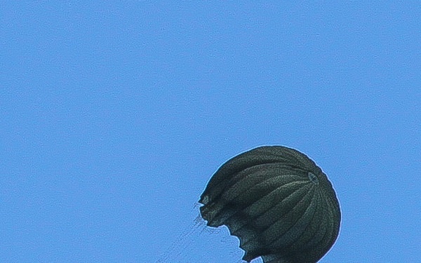 DSK German Paratrooper rides the wind