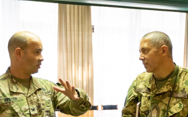 U.S. Army Reserve civil affairs, NATO CIMIC units collaborate during U.S. Army Europe summer exercises