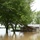Flood Waters Impact Neighborhoods in Pendleton, Arkansas