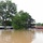 Flood Waters Impact Neighborhoods in Pendleton, Arkansas