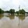 Flood Waters Impact Neighborhoods in Pendleton, Arkansas