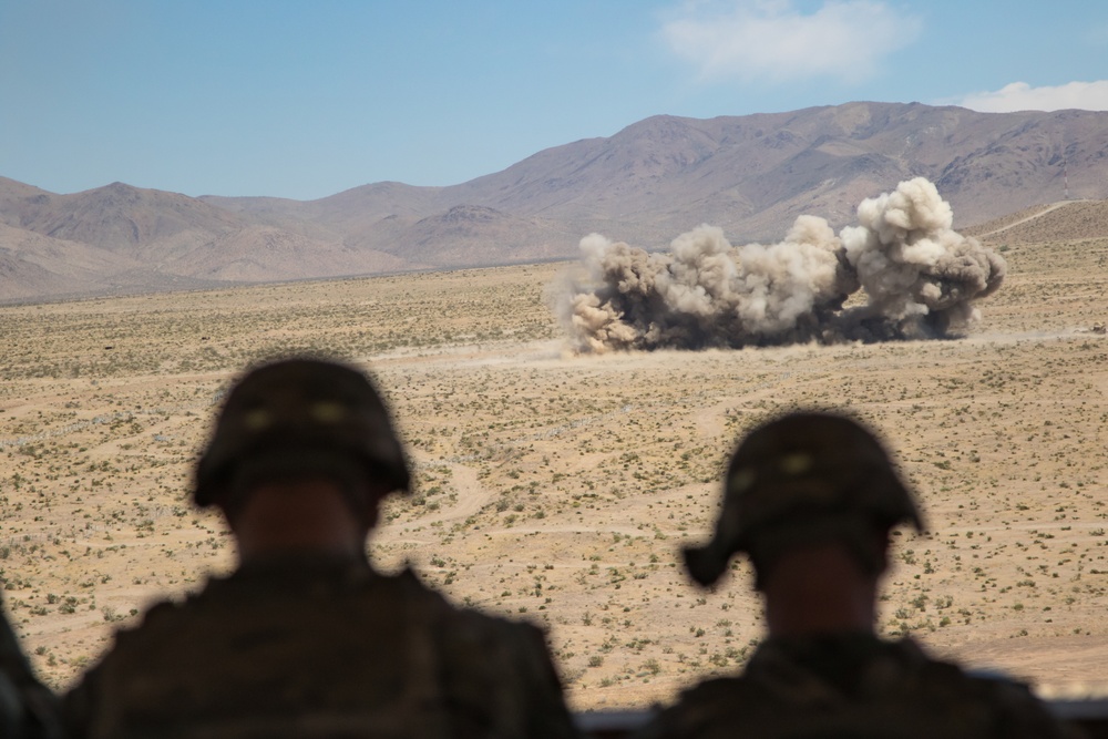 116th Cavalry Brigade Combat Team conducts live-fire operations