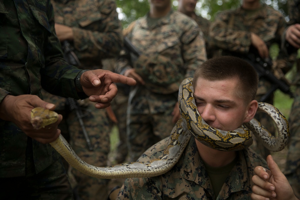 DVIDS - Images - U.S. Marines and Royal Thai Marines conduct jungle ...