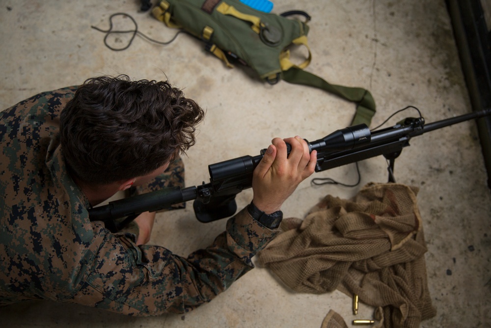 U.S. Marines and Royal Thai Marines practice long range marksmanship