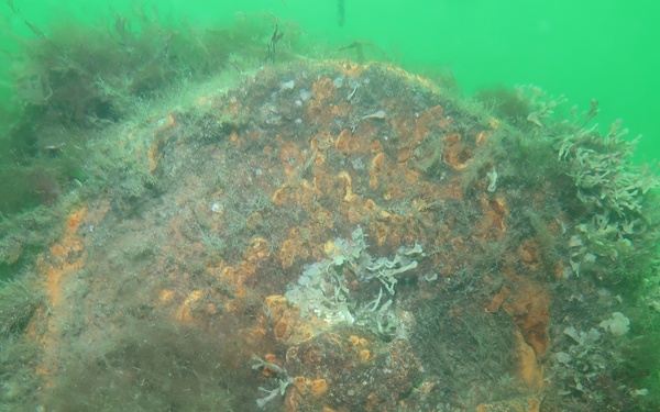 WWII-era Mines Cleared During BALTOPS 2019 by Mine Warfare Task Group