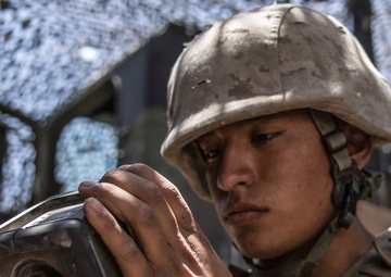 November Battery fires M777 howitzer during ITX 4-19