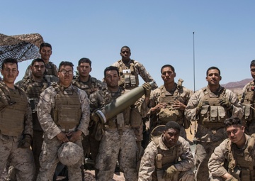 November Battery fires M777 howitzer during ITX 4-19