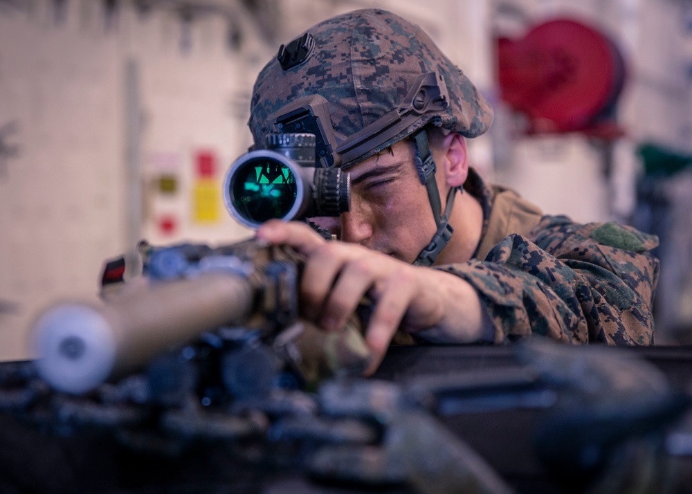 Scout Sniper Platoon Dry-Fire practice