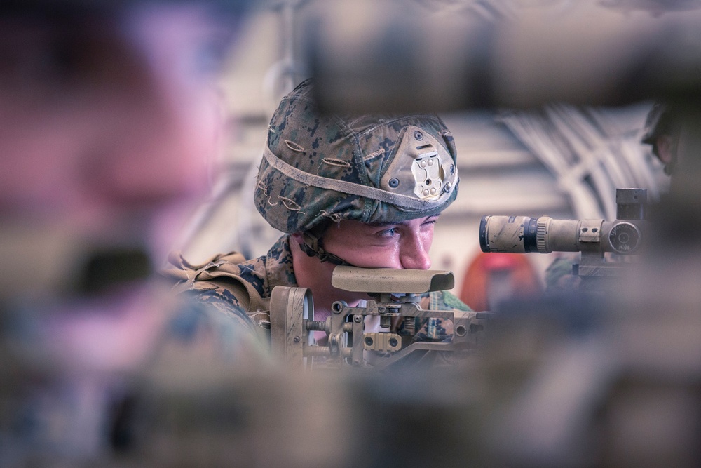 Scout Sniper Platoon Dry-Fire practice