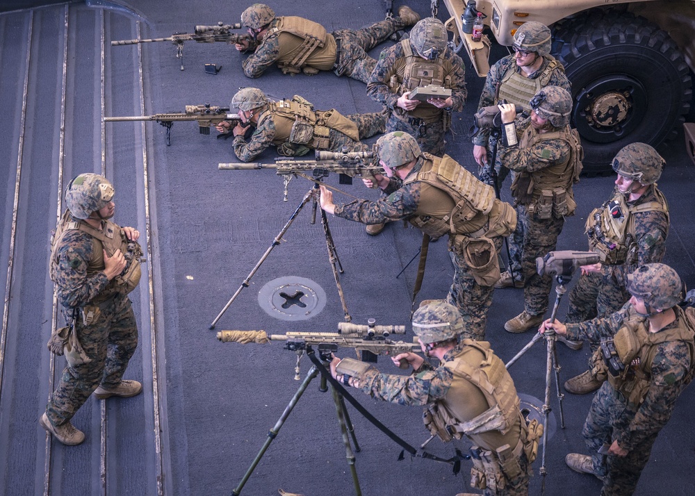 Scout Sniper Platoon Dry-Fire practice
