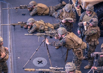 Scout Sniper Platoon Dry-Fire practice