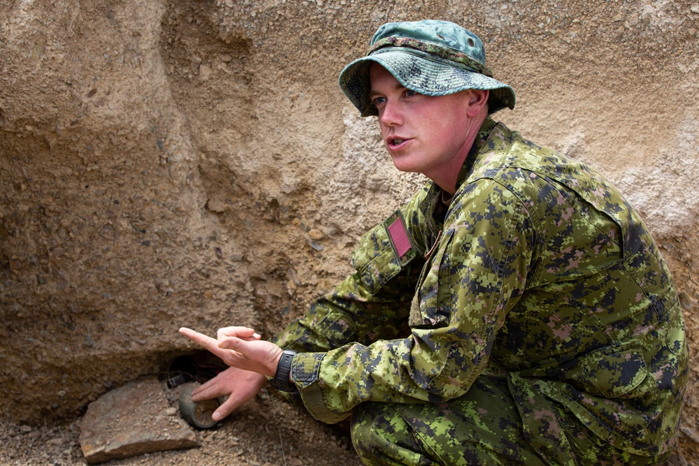 Mongolian and Malaysian soldiers conduct IED training