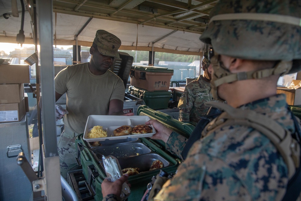 2nd Transportation Support Battalion Hikes during Resolute Sun