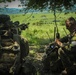 Royal Netherlands Army “Stormtroopers” Holding Position