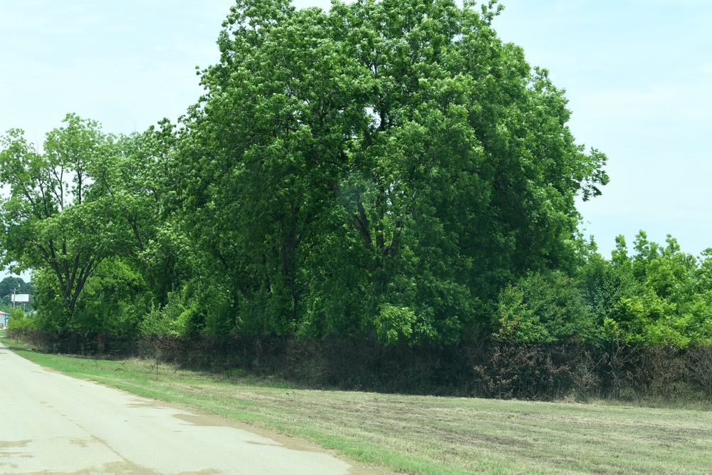 Water Marks Are Seen on Trees in Areas Impacted by the Recent Flooding