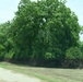 Water Marks Are Seen on Trees in Areas Impacted by the Recent Flooding