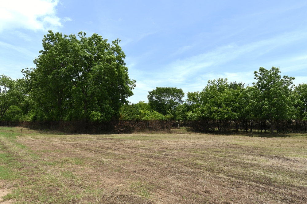 Water Marks Are Seen on Trees in Areas Impacted by the Recent Flooding