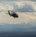 RED FLAG-Alaska 19-2 UH-60s
