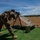 Multinational sniper training Long Precision increases combined capabilities
