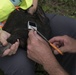 167th, Argos, USDA continue black vulture research
