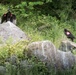 167th, Argos, USDA continue black vulture research
