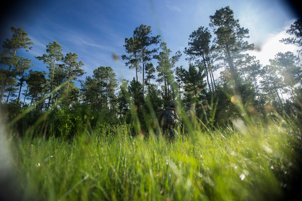 Steel Sharpens Steel Pike 19