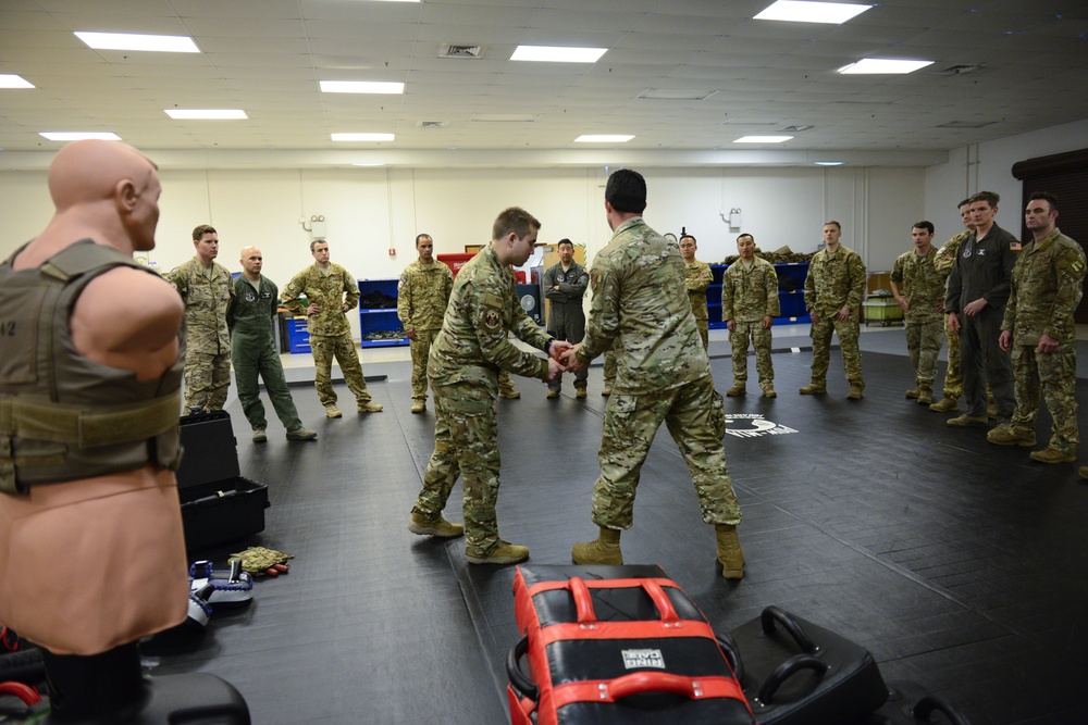 Hand-to-hand combatives training