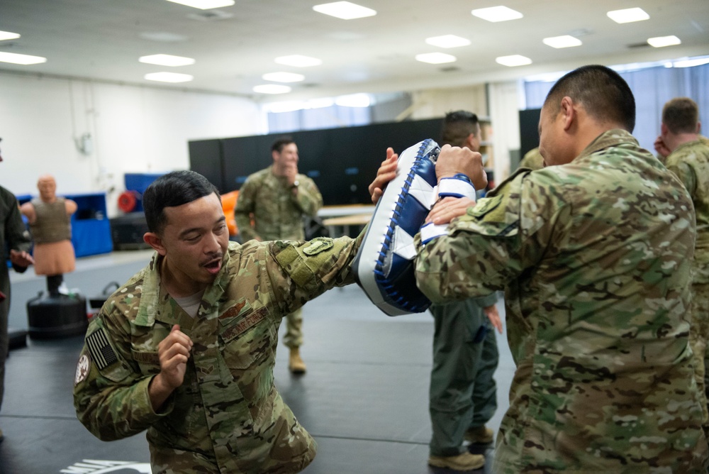 Hand to hand combatives training