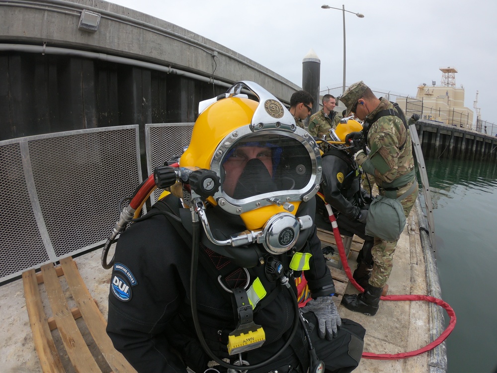 Coastal Trident 2019 Contaminated Water Diving Exercise