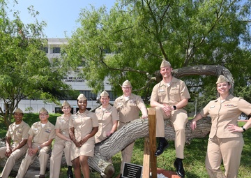 Outgoing NHCCC CO: Tree symbolic of possibilities