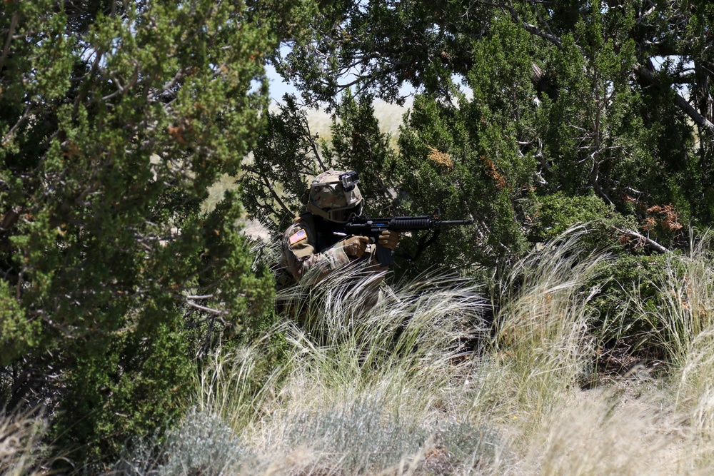 Missile Defense Soldiers get back to basics during situational training exercise